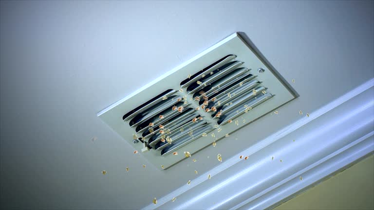 Best Air Duct Cleaning Near Me  in Crosby, TX